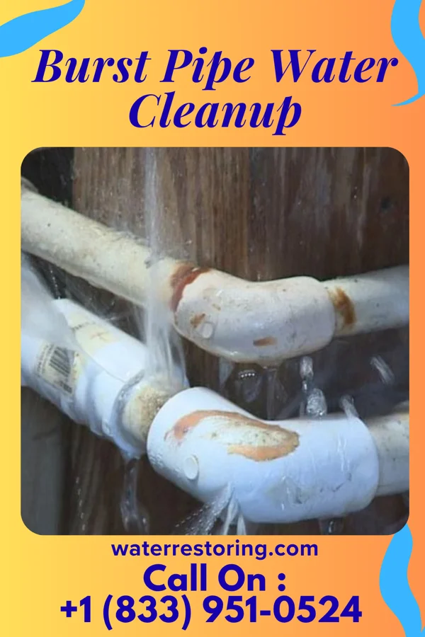 Burst Pipe Water Cleanup in Flemington, NJ