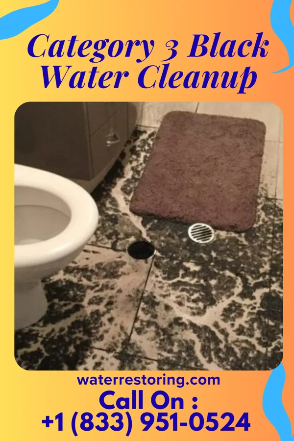 Category 3 Black Water Cleanup in Flemington, NJ