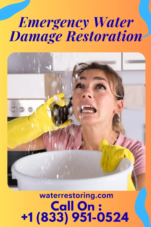 Emergency Water Damage Restoration in Flemington, NJ