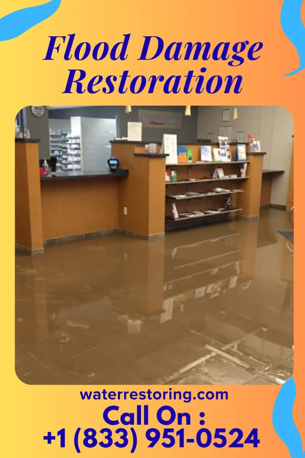 Flood Damage Restoration in Flemington, NJ
