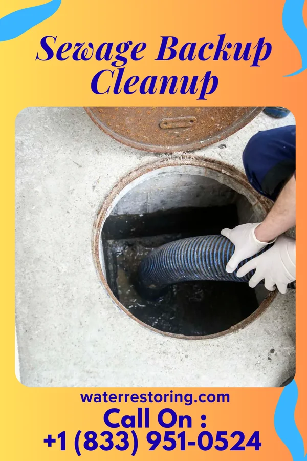 Sewage Backup Cleanup in Flemington, NJ