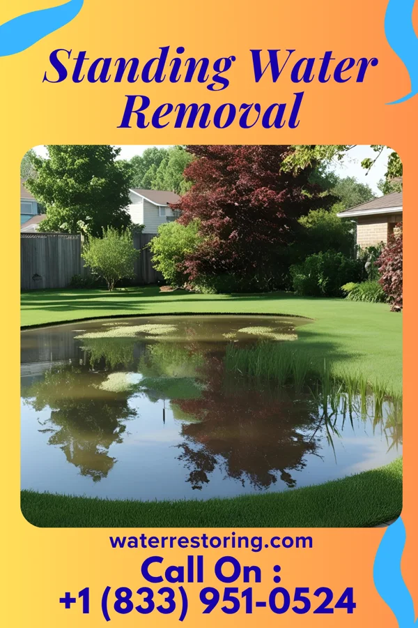 Standing Water Removal in Flemington, NJ